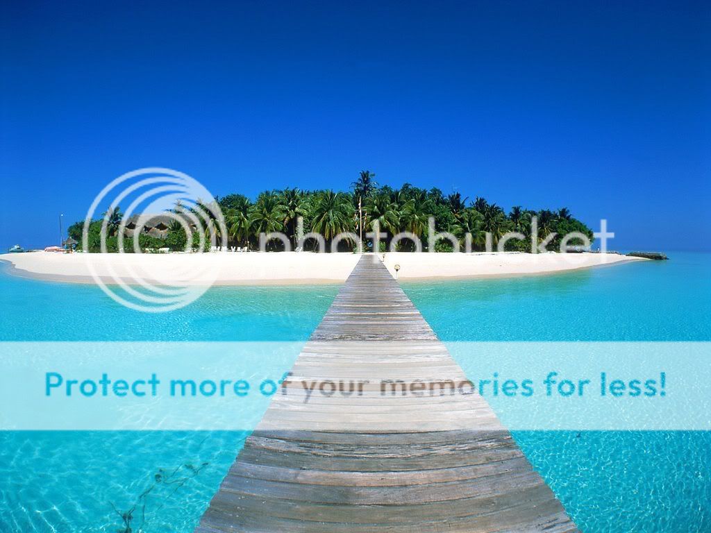 Almost Paradise ! Pictures, Images and Photos