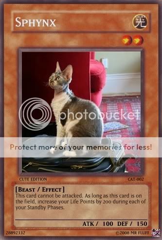 purrispurr.jpg