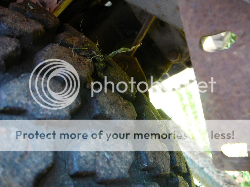 [Linked Image from i325.photobucket.com]