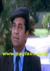 th_brahmi15.gif
