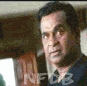 th_brahmi75.gif