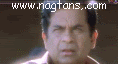 brahmi58.gif