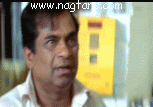 th_brahmi125.gif