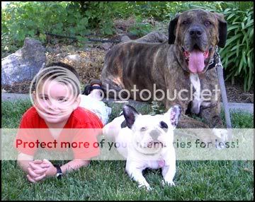 Photobucket