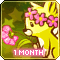 Be A Conjure Member For 1 Month