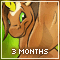 Be A Conjure Member For 3 Months
