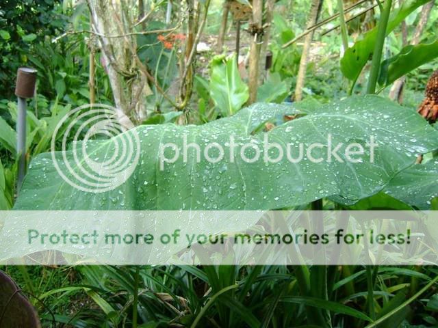 Picture:Click to zoom Picture:Click to zoom