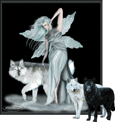 wolf Pictures, Images and Photos