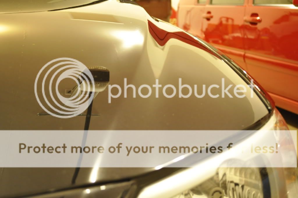 Posted Image