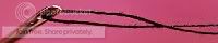 From a Thread banner